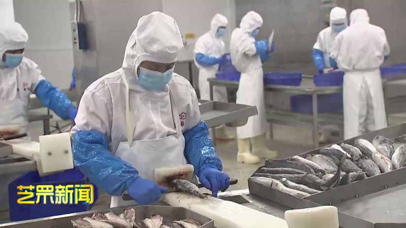 1277星际电子项目动态：海和海洋食物科技园一期工程正式投产-媒体聚焦-1277星际电子情形